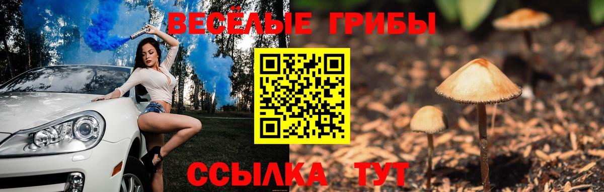 Белгород  Псилоцибиновые грибы Psilocybine cubensis  наркота  Вход с VPN 